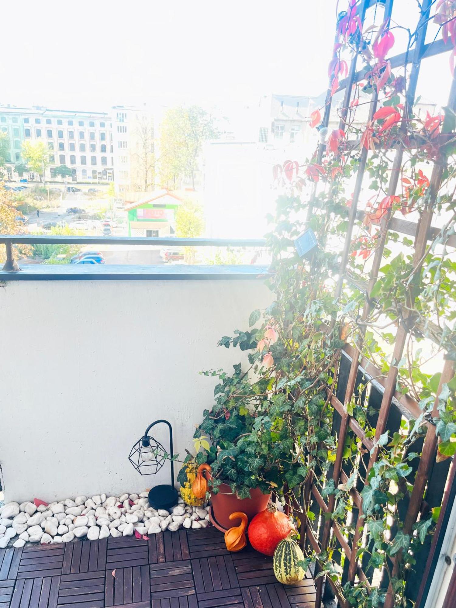 Apartament I Love Piotrkowska Z Wielkim Lustrem, Balkonem I Klimatyzacja ウッチ エクステリア 写真